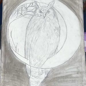 Midnight owl